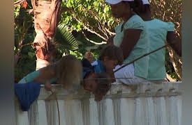 Travel with Kids: Gold Coast of Jamaica