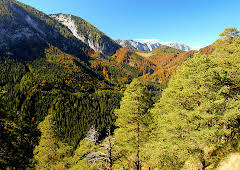 Wildnisse im Herzen Europas - Österreichs Nationalparks