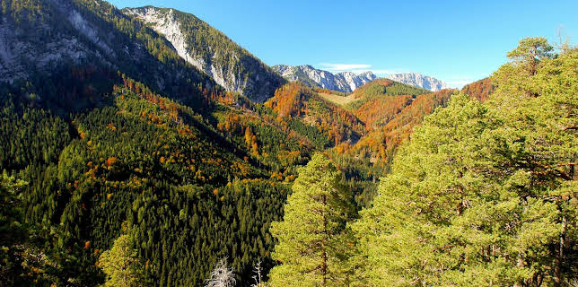 13:35: Wildnisse im Herzen Europas - Österreichs Nationalparks | 3SAT | 1/14 2026