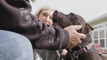 15:00: Pit Bulls & Parolees (S9 E4) (S9) | Animal Planet | 5/25 2026
