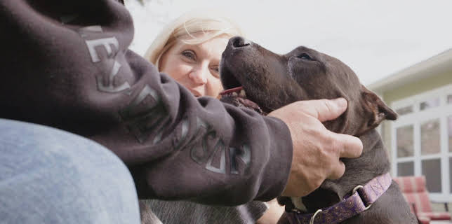 15:00: Pit Bulls & Parolees (S9 E4) (S9) | Animal Planet | 1/19 2026