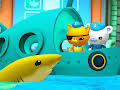 Octonauts