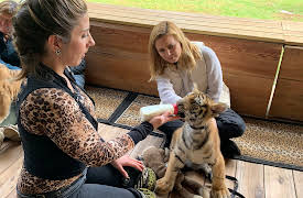 Trafficked With Mariana Van Zeller: 2. Tigers