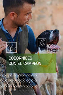 05:10: Codornices con el campeón | Caza y Pesca | 7/14 2026
