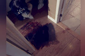 Murder Decoded Season 1: Footsteps in Blood