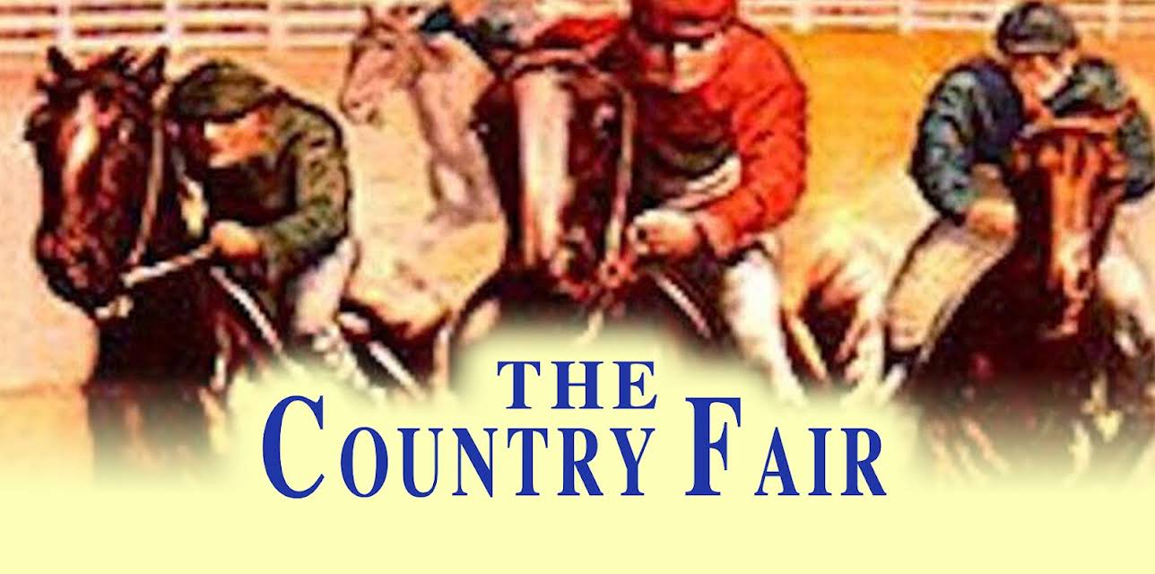 County Fair, The (1920)