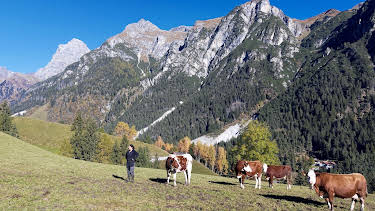 19:30: Bergbäuerinnen in Südtirol - Auf zu neuen Horizonten | 3SAT | 9/13 2026