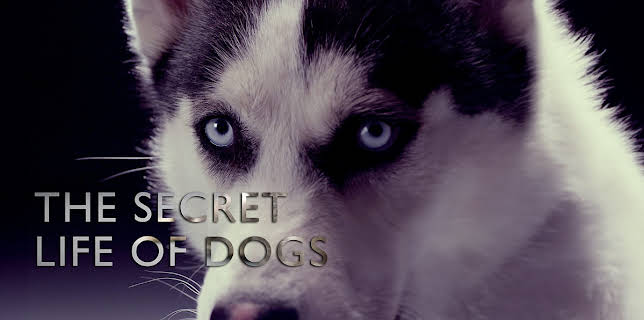 Secret Life Of Dogs (1964)