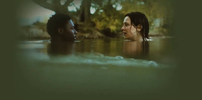 The Graduates (2024)