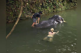 101 Sand n' Surf Hotspots Season 1: 20 to 1