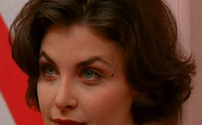 Sherilyn Fenn