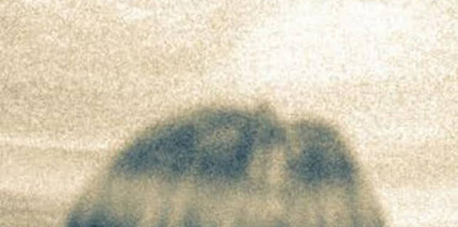 04:31: Extraterrestres: ellos están entre nosotros: Lugares ventana | Discovery Max | 1/19 2026