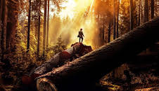 The Last Woodsmen