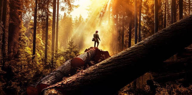 5:00 PM: The Last Woodsmen (S1) | Discovery Channel | 3/14 2026