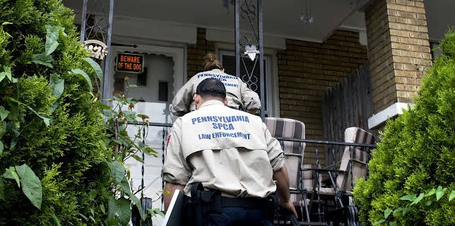 07:40: Animal Cops Philadelphia (S12 E3) (S12) | Animal Planet | 11/23 2025