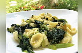Piatto Recipes - Italian: Broccoli Rabe Orecchiette