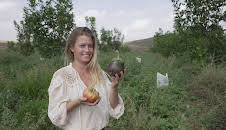 plan b: Ackern gegen den Klimawandel