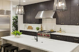 Windy City Rehab, Season 1: Fire Sale Fail to Dream Duplex