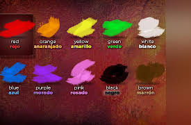 Learning Spanish: How to Understand and Speak a New Language: More Affirmative and Negative Expressions