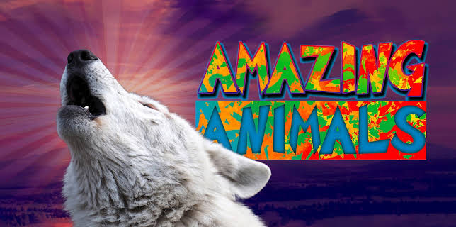 Amazing Animals (2022)