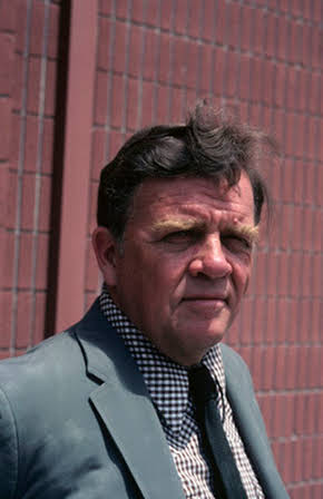 Pat Hingle as 