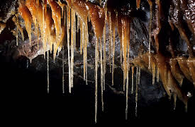 Planet Earth Season 1 (Narrator - David Attenborough): Caves (Narrator - David Attenborough)