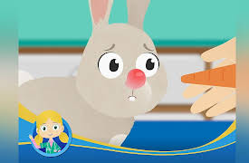 Dr. Poppy's Animal Rescue: Henrietta the Hen