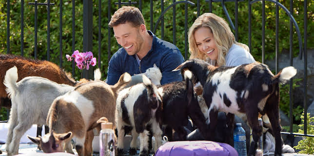 19:00: Retreat to You | Kanal 11 | 8/7 2025