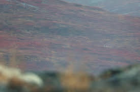 Dropped: On Top of the World