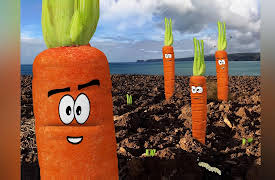Squishy Kids TV: Carrots in a Field