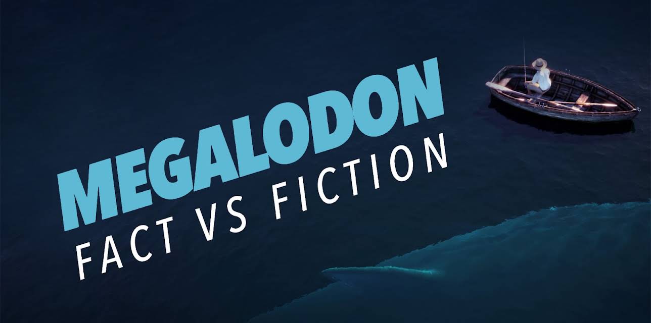 Megalodon: Fact vs Fiction