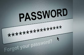 The Science of Information: From Language to Black Holes: Measuring Information