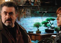 Warehouse 13 (T3): Ep.13 El mejor regalo