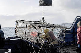 Deadliest Catch, Season 20: Out Cold