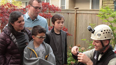 15:30: Treetop Cat Rescue (S1 E8) (S1) | Animal Planet | 12/31 2025