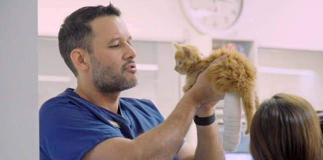 03:20: Australiens Tierrettung - Einsatz am Bondi Beach | Sixx | 1/11 2026