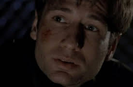 The X-Files Season 1: Fallen Angel