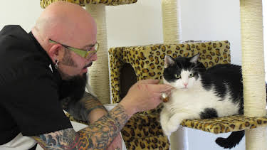 16:00: My Cat From Hell (S3 E10) (S3) | Animal Planet | 9/19 2026