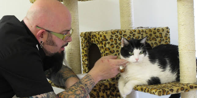 16:00: My Cat From Hell (S3 E10) (S3) | Animal Planet | 3/14 2026