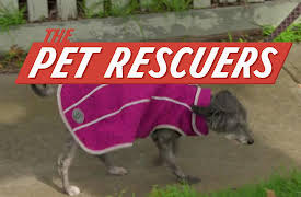 The Pet Rescuers: Everyday Challenges