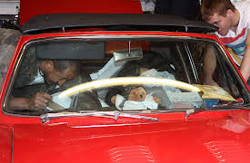 Car S.O.S.: 7. Triumph of The Stag