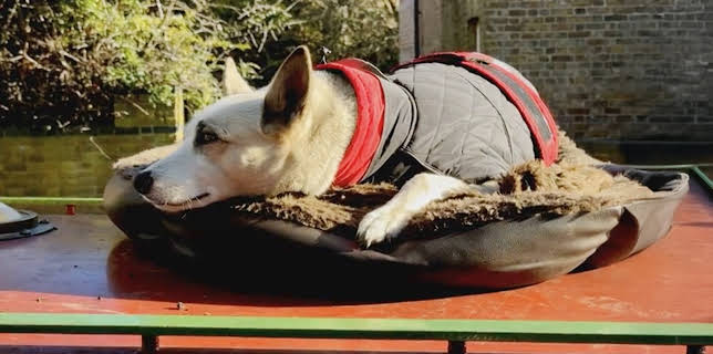 7:00 PM: Canal Boat Diaries (S6 E9) (S6) | Yesterday | 12/18 2025