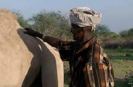 GROWING UP: Salt Journey