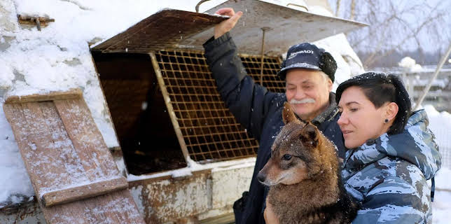 05:57: GEO Reportage | Arte | 11/24 2025