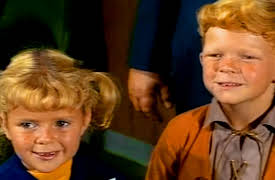 Family Affair: A Matter for Experts