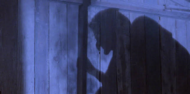 Poison for the Fairies (1984)