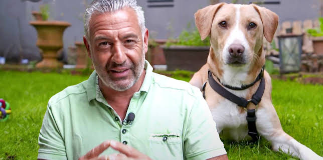 11:10: Hunde verstehen! | WDR Fernsehen | 2/27 2026