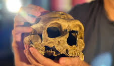 Woher wissen wir das?