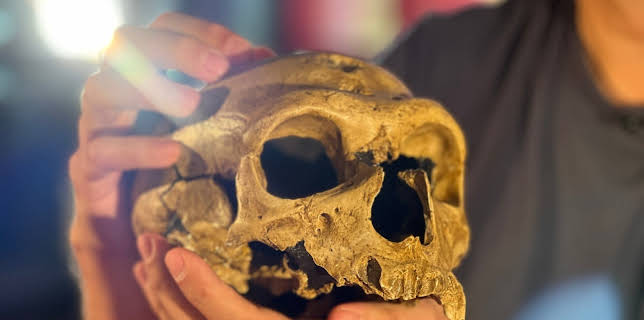 06:40: Woher wissen wir das? | HR Fernsehen | 2/9 2026