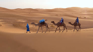 14:50: Afrika: Kontinent der Vielfalt (3/3) | 3SAT | 4/16 2026